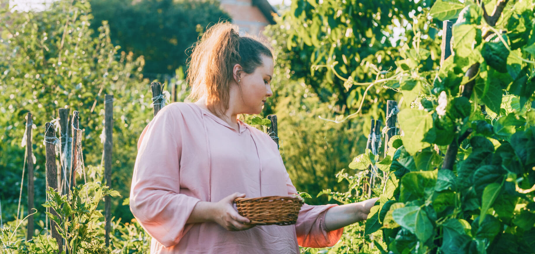 lst-header-nachhaltig-anlegen